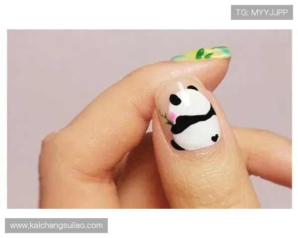 凯发网网站登录入口手机版官网官方正式版登录指南与操作流程详解