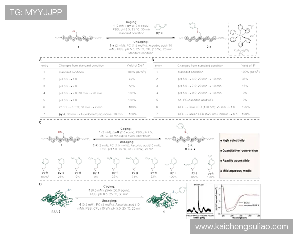 凯发实业有限公司在国内外市场的合作伙伴关系与拓展策略
