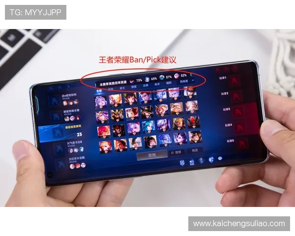纯白小碟的使用注意事项与常见问题解答，确保你的游戏体验更加顺畅